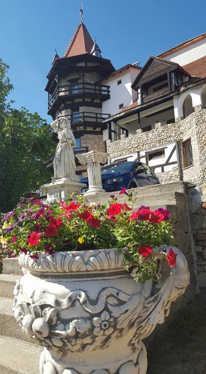Castelul Lupilor Hotel Chimindia Exterior photo